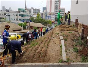 파장동 아름다운 골목정원 만들기 실시